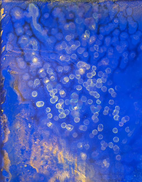 Fireflies | Framed Giclee Print on Canvas
